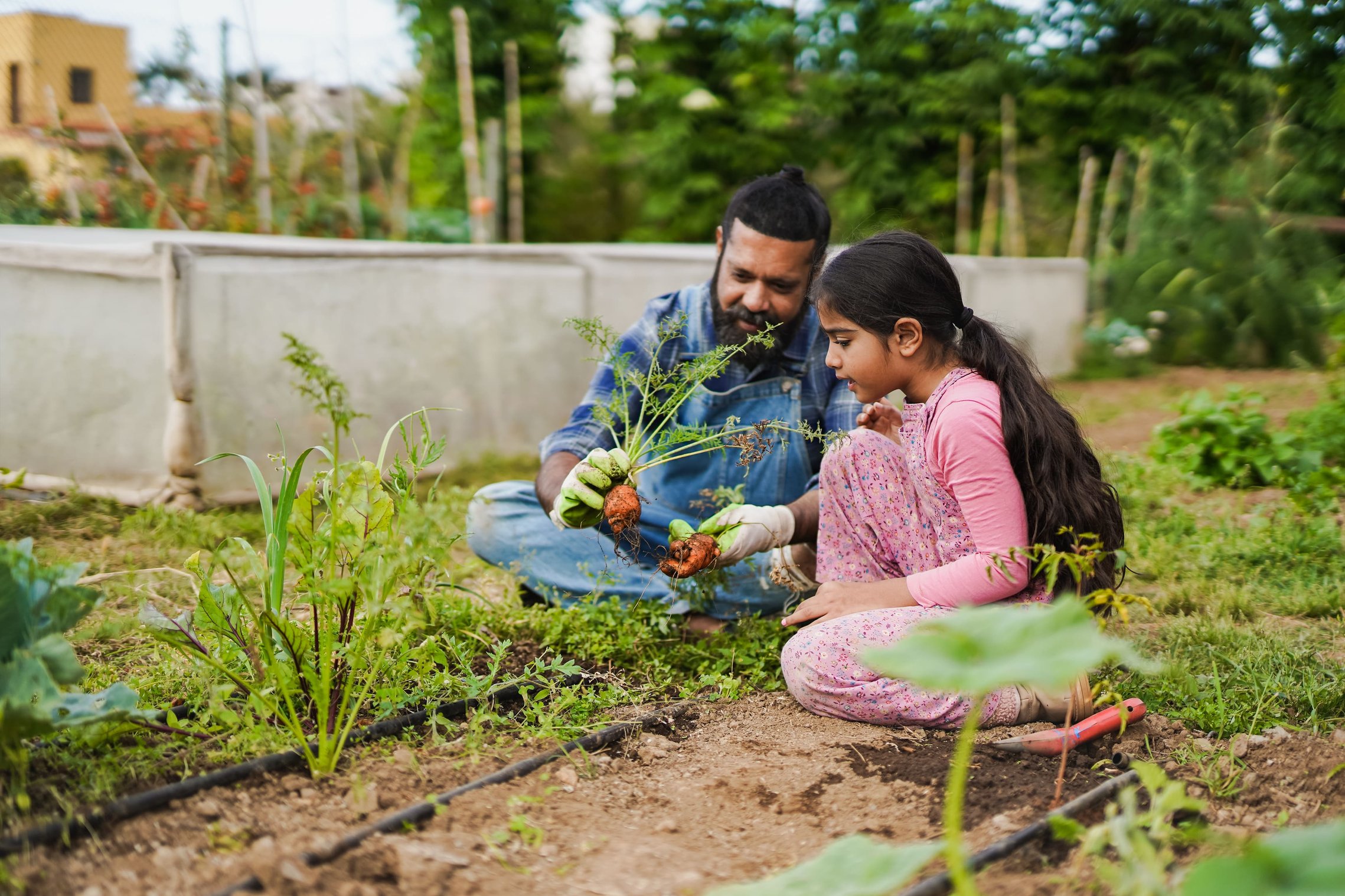 Finding STEM Learning in Everyday Winter Moments