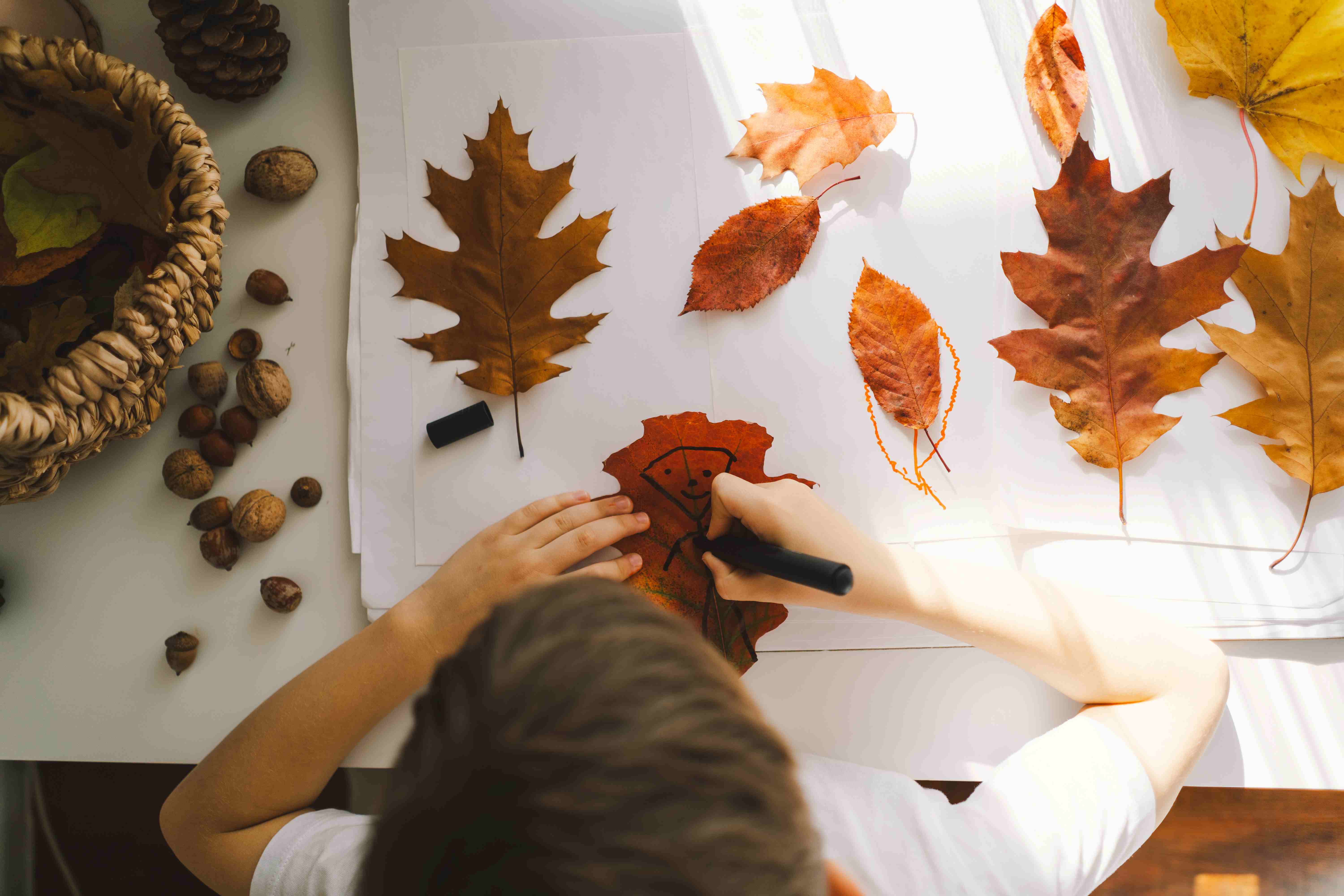 child drawing on leaf 